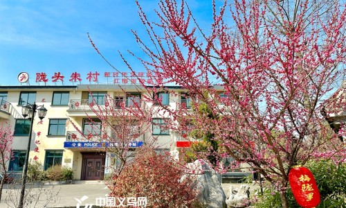 鳖甲一般用多少克-鳖甲中药用多少克网 - 中药鳖甲的用量,鳖甲常用量多少