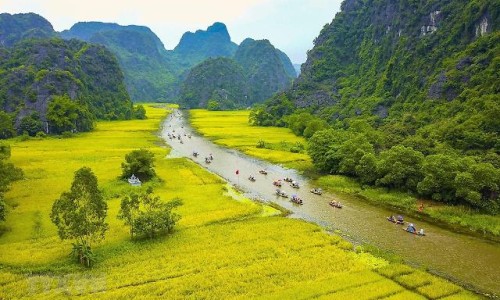 鳖甲中药用多少克网 - 中药鳖甲的用量,鳖甲常用量多少